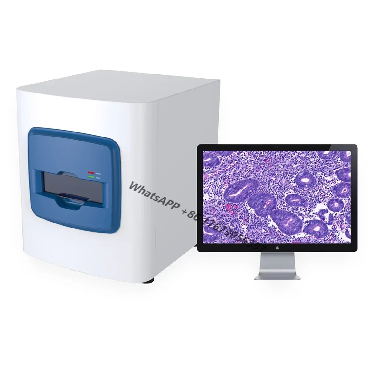 Цифров патологична MSLDSS01 Лабораторен гистологический скенер с висока резолюция за изследвания предметни стъкла патологични тъкани - 0
